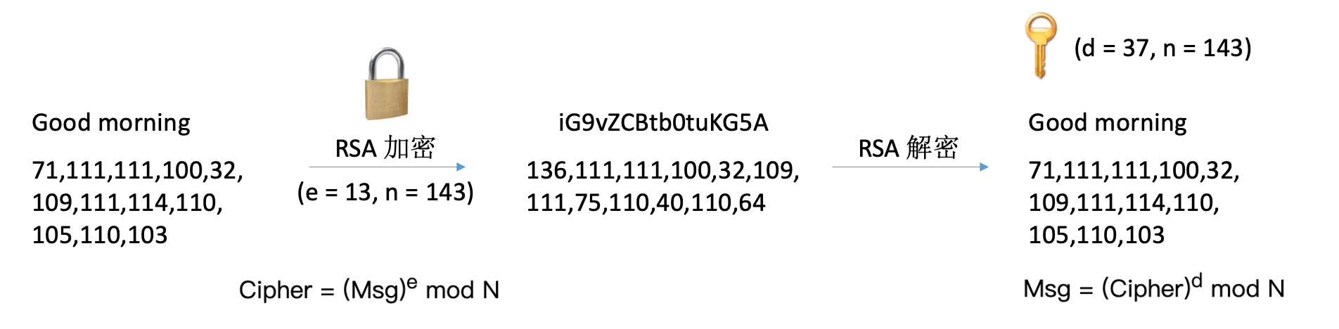 RSA Encryption